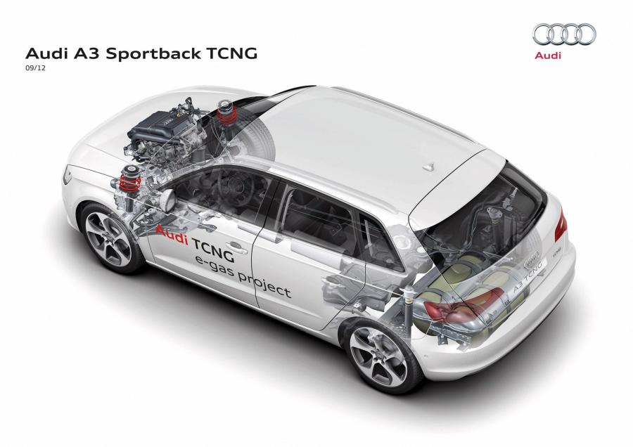 Схема Audi A3 Sportback TCNG (8V) 2012 года  (фото 10 из 13)